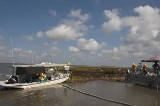 Marée noire : une alarme en cause