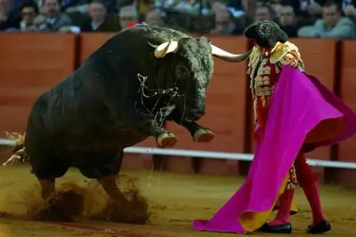 Un taureau s’invite dans le public