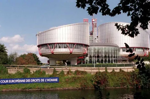 Policiers violents : la France condamnée