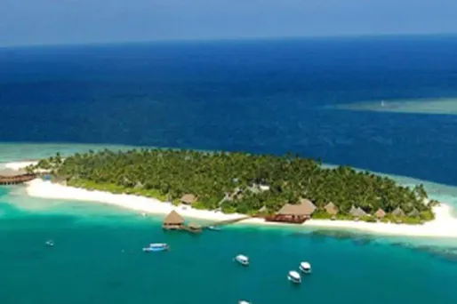 Un mariage, du sable blanc, des insultes