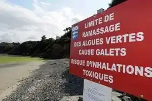 Les anti-algues vertes manifestent sur la plage
