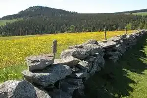 Les OGM bientôt bannis des Monts d’Ardèche