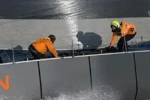 Guillemot, la patience récompensée