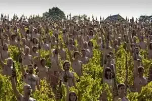 Nus dans le vignoble bourguignon pour dénoncer le changement climatique