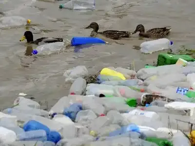 Quels sont les habitants qui polluent le plus ?