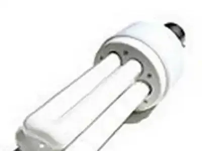 Ruée sur les ampoules classiques