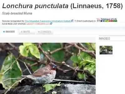 Découvrir des milliers d’animaux et végétaux en un clic