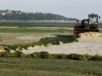 Des algues vertes ont-elles tué un cheval breton ?