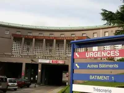 Un premier décès lié à la grippe A-H1N1 en France