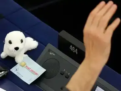 L’Europe ferme ses frontières aux produits de la chasse au phoque