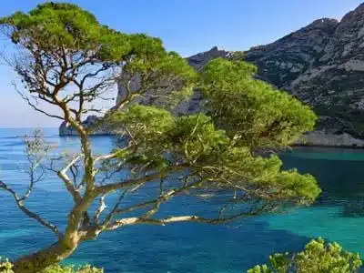 Les calanques bientôt Parc national