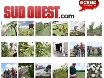 Les vignobles du Bordelais frappés par les orages