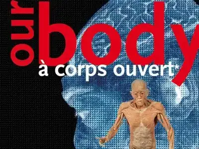 "Our body" à Paris, c'est fini