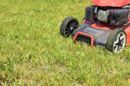 Pourquoi l'hiver est le moment idéal pour investir dans une tondeuse à gazon ?