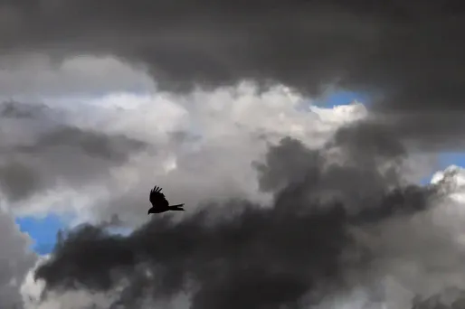 La météo du 21/02/2024 : ce mercredi, un temps couvert sur la quasi-totalité du pays