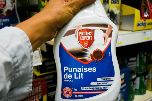 Les punaises de lit ne présentent pas de risques majeurs pour la santé mais peuvent avoir un impact psychologique sur les personnes concernées.