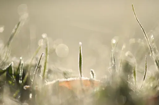 Ce mercredi matin il a fait jusqu'à -0,5°C à Chapelle-des-Bois dans le Doubs.