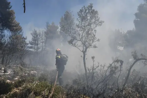 Des pompiers éteignent des flammes dans un incendie de forêt, près du village de Kontodespoti, sur l'île d'Eubée.
