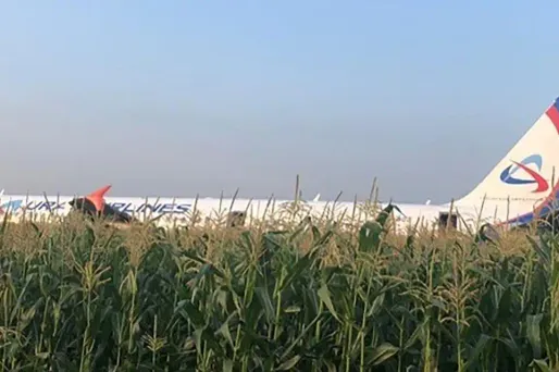 L'avion déposerait 233 personnes.