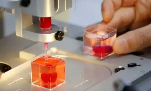 Cette percée pourrait un jour permettre de reproduire des organes entiers, estiment les scientifiques. (Photo d'illustration)