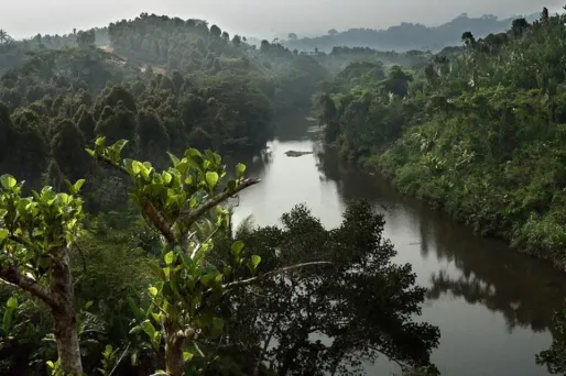 Le corps de la jeune femme a été retrouvé dans la forêt, dans le nord-ouest de l'île.