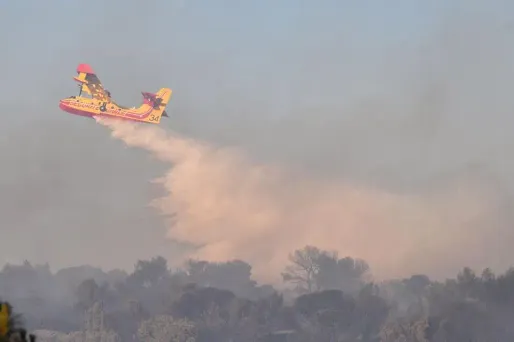 Avion de conception ancienne, initialement destiné aux armées, les Trackers auraient dû être retirés du service en 2008.