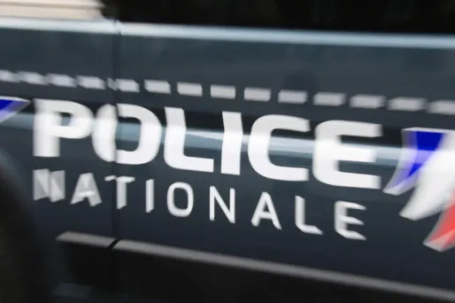 Une suspecte âgée de 20 ans a été interpellée puis placée en garde à vue.