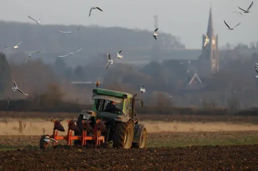 «Je mets la clé sous la porte au bout de 10 ans» : le témoignage d'un agriculteur qui met fin à son exploitation