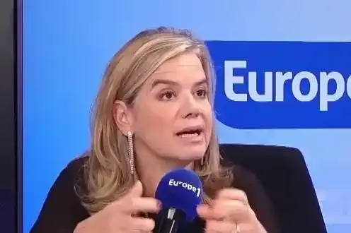 Profil inattendu d’un voleur présumé du Louvre : «On ne s’attendait pas à une espèce de star des réseaux sociaux», juge Gabrielle Cluzel