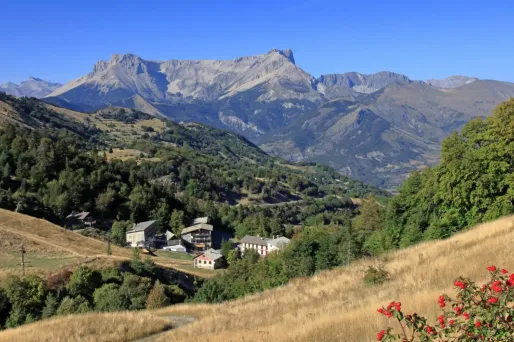 Au moment où certaines stations s'apprêtent à ouvrir, à Céüse (Hautes-Alpes), le paysage est vert, pas un flocon de neige et 15 degrés au thermomètre.