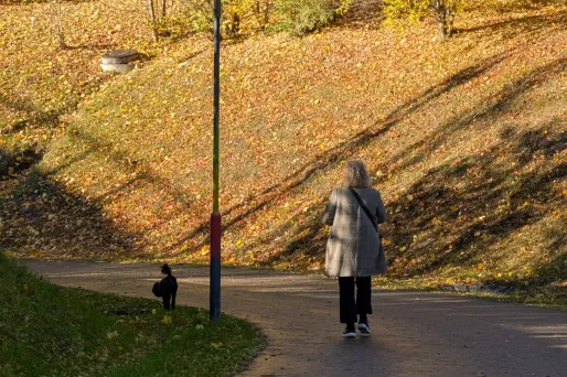 Météo : un pic de chaleur inhabituel au mois de novembre attendu ce jeudi