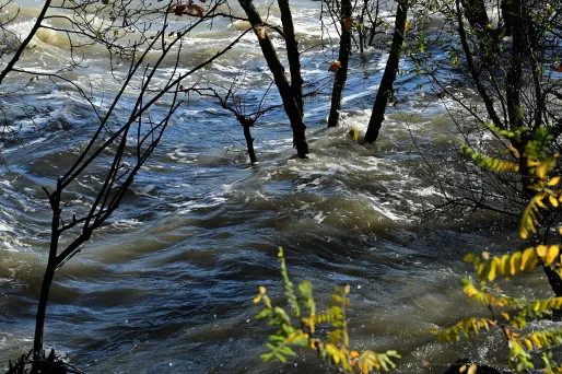 Intempéries en Ardèche : un septuagénaire est porté disparu, d'importants moyens déployés pour le retrouver