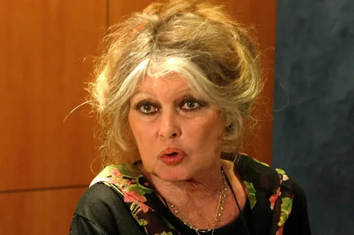 Brigitte Bardot de nouveau hospitalisée à Toulon depuis plusieurs jours.