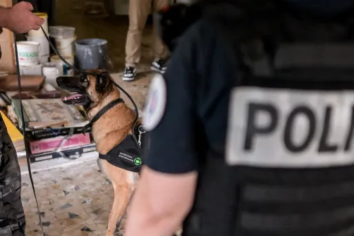 Filière judiciaire et police aux frontières : les angles morts de la Place Beauvau