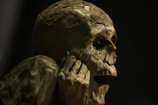 Exposition : le musée de l'Homme à Paris propose de percer le mystère des momies