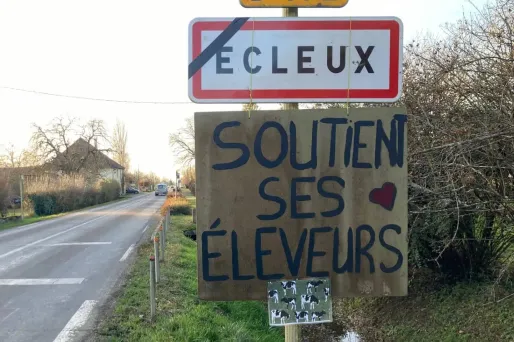 «On a eu un soutien énorme» : à Ecleux dans le Jura, élan de solidarité pour lutter contre la dermatose nodulaire contagieuse