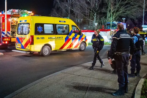 La conductrice, âgée de 56 ans, a été légèrement blessée dans l'accident et interpellée par les policiers néerlandais.