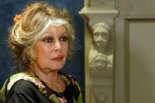 Mort de Brigitte Bardot : redécouvrez nos épisodes de «Destins extraordinaires» consacrés à l'icône du cinéma français