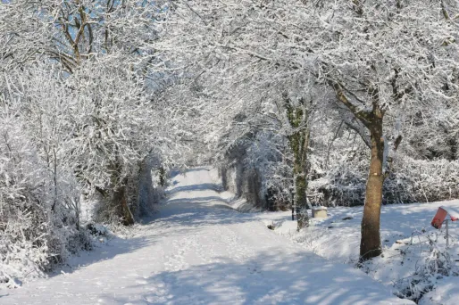 EN DIRECT - Neige et verglas : cinq personnes sont mortes dans les Landes et en Île-de-France