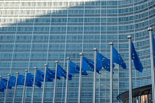 Mercosur : feu vert d'une majorité de pays de l'Union européenne en faveur de l'accord