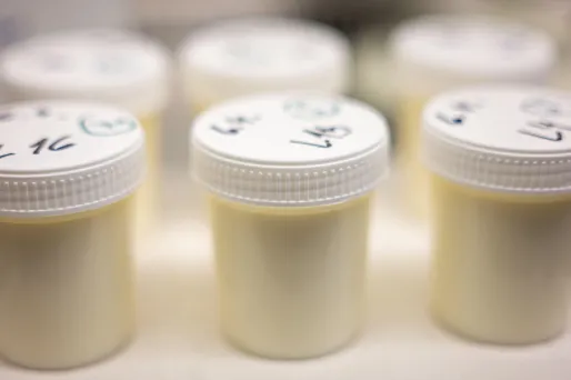 Qu'est-ce que la ricine, cette substance contre laquelle la France vient de trouver un remède ?