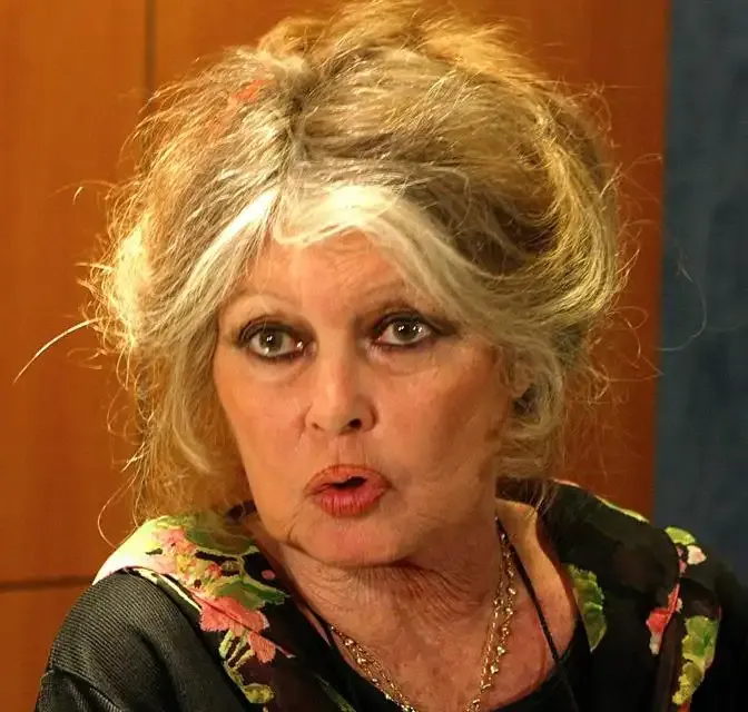 L'icône du cinéma français Brigitte Bardot est morte à l'âge de 91 ans