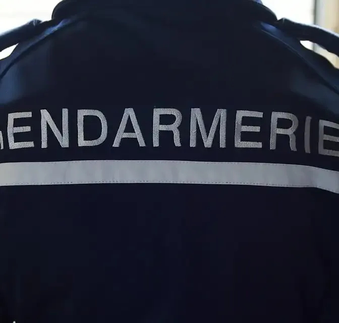 Deux gendarmes percutés lors d'un refus d'obtempérer dans les Vosges, le suspect s'est rendu