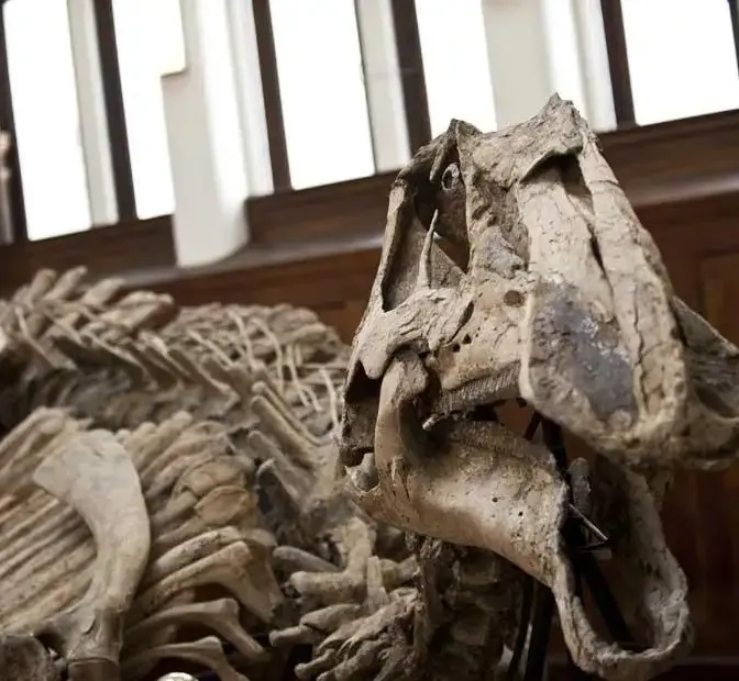 « Planète préhistorique – Dinosaures l’expérience immersive » : un voyage dans le temps de plus de 66 millions d'années à Paris