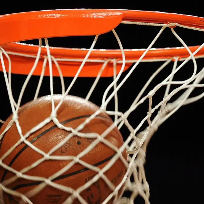 Basket (Illustration)