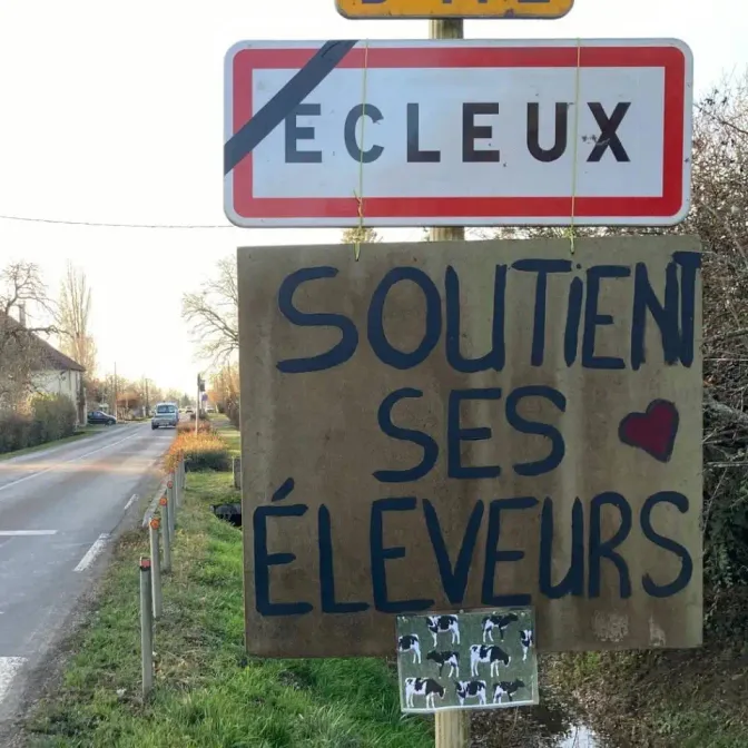 «On a eu un soutien énorme» : à Ecleux dans le Jura, élan de solidarité pour lutter contre la dermatose nodulaire contagieuse