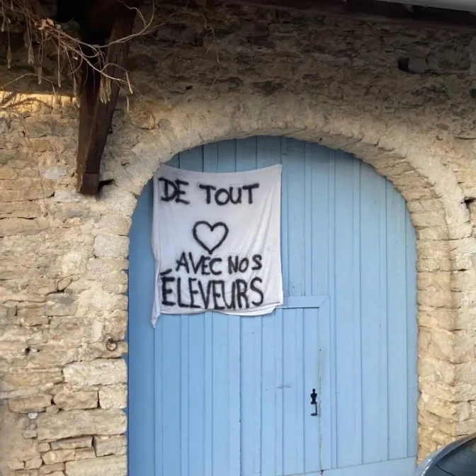 Le village d'Ecleux arrive à vaincre la dermatose bovine : «Il n'y a rien de magique», explique son maire