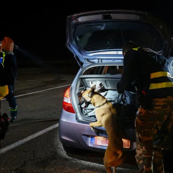 Cocaïne, cannabis...dans les Landes, gendarmes et douaniers saisissent d'importantes quantités de drogues