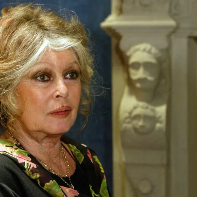 Mort de Brigitte Bardot : redécouvrez nos épisodes de «Destins extraordinaires» consacrés à l'icône du cinéma français