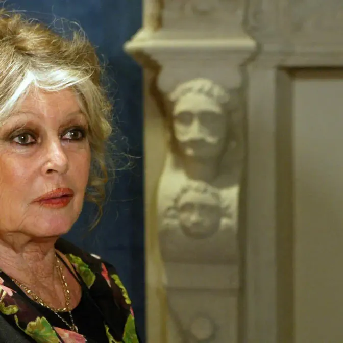 Éric Ciotti, président de l'UDR, interpelle Emmanuel Macron et lance une pétition pour réclamer un hommage national à Brigitte Bardot.